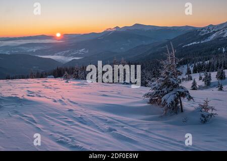 Pittoresque lever de soleil sur les alpes d'hiver. La plus haute crête des Carpates ukrainiens est Chornohora avec des sommets de Hoverla et Petros. Vue de Svydov Banque D'Images