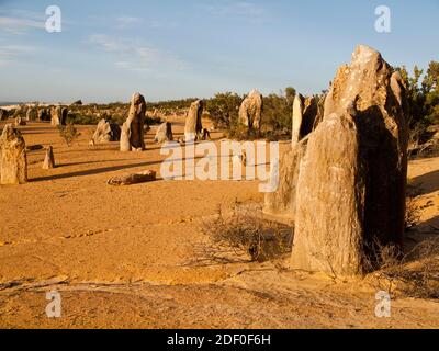 Les Pinnacles, le Parc National de Nambung, Australie occidentale Banque D'Images