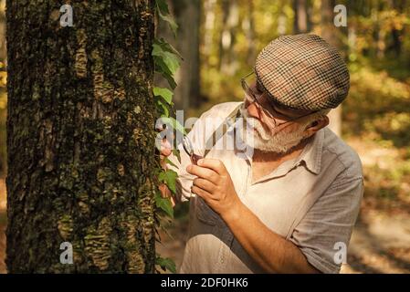 Ancien homme scientifique. Le botaniste examine les plantes. Grand-père barbu en forêt. Curiosité à la botanique. Détective picky dans la forêt. Explorez la nature. Retraité avec loupe pour explorer la forêt d'automne jour. Banque D'Images