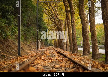 gros plan des voies ferrées avec des feuilles mortes Banque D'Images