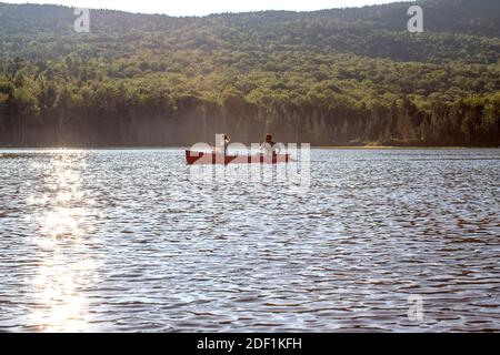 Jeune homme et jeune femme paddle canoë sur le lac tranquille, les montagnes du Maine Banque D'Images