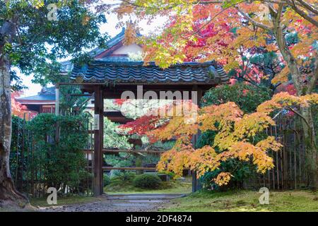 Kyoto, Japon - couleur des feuilles d'automne au temple Ikkyuji (Shuon-an) à Kyotanabe, Kyoto, Japon. Banque D'Images