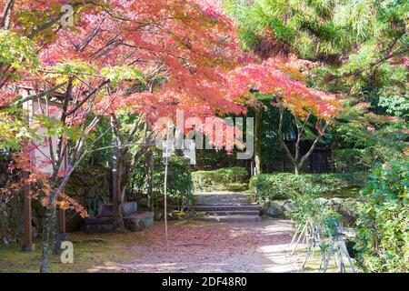 Kyoto, Japon - couleur des feuilles d'automne au temple Ikkyuji (Shuon-an) à Kyotanabe, Kyoto, Japon. Banque D'Images