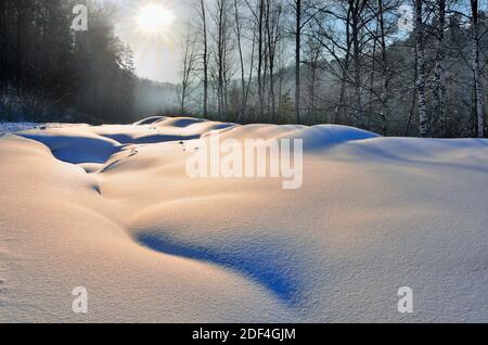 Douces courbes bizarres de la surface de neige près de la forêt d'hiver. Relief en torsion de la surface neigeuse, de belles dérives sinueuses de neige.Beauté des lignes neigeuses, Banque D'Images