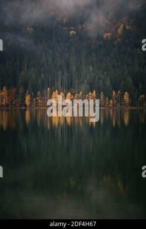 Les bouleaux jaunes de la forêt se reflètent dans le lac brumeux du matin en automne. Style abstrait et vintage Banque D'Images