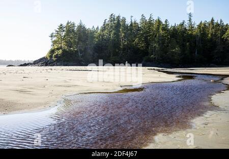 Une femme qui marche sur une plage près de Tofino sur Middle Beach, île de Vancouver, Colombie-Britannique, Canada. Banque D'Images