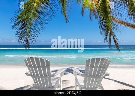 Plage de sable blanc paradisiaque, chaises de plage, palmiers coco et mer turquoise. Banque D'Images