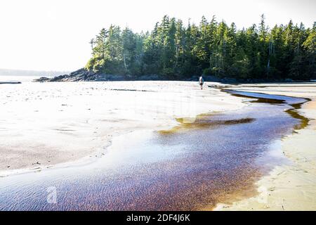 Une femme qui marche sur une plage près de Tofino sur Middle Beach, île de Vancouver, Colombie-Britannique, Canada. Banque D'Images