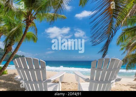 Plage de sable blanc paradisiaque, chaises de plage, palmiers coco et mer turquoise. Banque D'Images