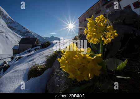 Géographie / Voyage, Allemagne, Bavière, paysages, ambiance de soirée à la Watzmannhaus, droits-supplémentaires-décharge-Info-non-disponible Banque D'Images