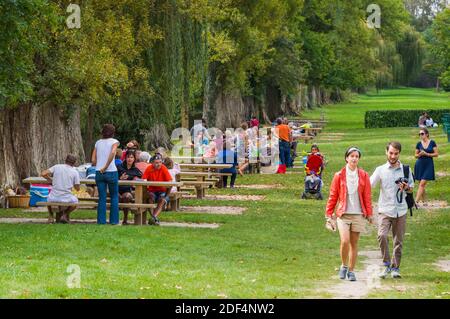 Personnes dans l'aire de pique-nique au parc près du château de Chenonceau. Le jardin est rempli de tables de pique-nique, de longs bancs installés sous de grands chênes. Activités dans le parc. FRA Banque D'Images