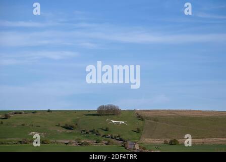 The Hackpen White Horse on the Marlborough Downs à Wiltshire, Royaume-Uni Banque D'Images