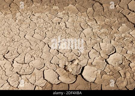 Terre sèche fissurée en raison de l'effet de réchauffement de la planète. Banque D'Images