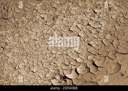 Terre sèche fissurée en raison de l'effet de réchauffement de la planète. Banque D'Images