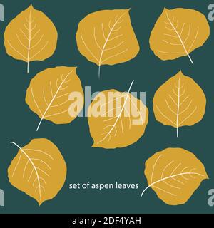 Ensemble vectoriel de huit feuilles de peuplier doré de forme différente. Motifs foliaires isolés dessinés à la main dans les couleurs de l'automne. Illustration botanique de l'art de ligne organique Illustration de Vecteur