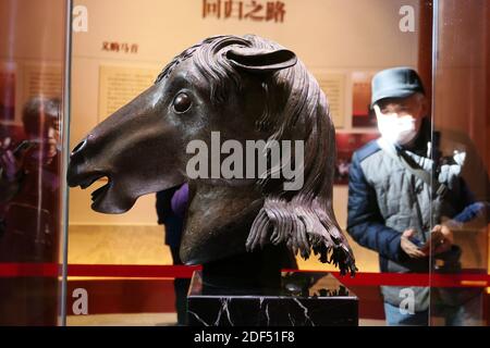 Haidian, Haidian, Chine. 3 décembre 2020. Beijing, CHINE-la statue de la tête du cheval est exposée au vieux Palais d'été de Beijing, le 3 décembre 2020. Après 160 ans de dérive, la statue est revenue dans sa ville natale, ce qui en fait la première grande relique culturelle d'outre-mer à retourner à l'ancien Palais d'été. La tête de cheval en bronze a été conçue par l'Italien Giuseppe Castiglione. Il a été réalisé par un artisan de la cour pendant le règne de l'empereur Qianlong dans la dynastie Qing, mêlant les styles artistiques de l'est et de l'Ouest. Crédit : SIPA Asia/ZUMA Wire/Alay Live News Banque D'Images