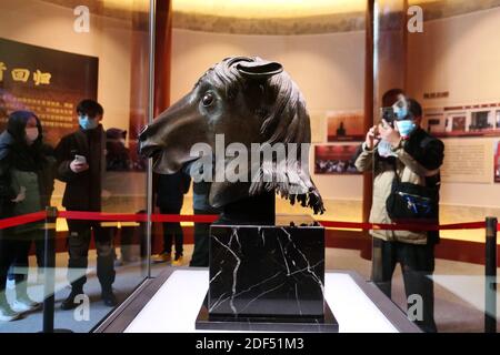 Haidian, Haidian, Chine. 3 décembre 2020. Beijing, CHINE-la statue de la tête du cheval est exposée au vieux Palais d'été de Beijing, le 3 décembre 2020. Après 160 ans de dérive, la statue est revenue dans sa ville natale, ce qui en fait la première grande relique culturelle d'outre-mer à retourner à l'ancien Palais d'été. La tête de cheval en bronze a été conçue par l'Italien Giuseppe Castiglione. Il a été réalisé par un artisan de la cour pendant le règne de l'empereur Qianlong dans la dynastie Qing, mêlant les styles artistiques de l'est et de l'Ouest. Crédit : SIPA Asia/ZUMA Wire/Alay Live News Banque D'Images