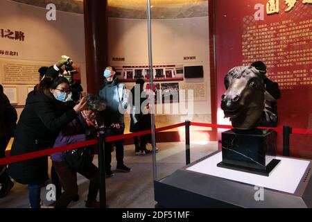 Haidian, Haidian, Chine. 3 décembre 2020. Beijing, CHINE-la statue de la tête du cheval est exposée au vieux Palais d'été de Beijing, le 3 décembre 2020. Après 160 ans de dérive, la statue est revenue dans sa ville natale, ce qui en fait la première grande relique culturelle d'outre-mer à retourner à l'ancien Palais d'été. La tête de cheval en bronze a été conçue par l'Italien Giuseppe Castiglione. Il a été réalisé par un artisan de la cour pendant le règne de l'empereur Qianlong dans la dynastie Qing, mêlant les styles artistiques de l'est et de l'Ouest. Crédit : SIPA Asia/ZUMA Wire/Alay Live News Banque D'Images