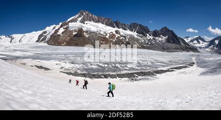 Géographie / Voyage, Suisse, Valais, Parti des alpinistes avec le Finsteraarhorn (4274m) dans le , droits-supplémentaires-dégagement-Info-non-disponible Banque D'Images