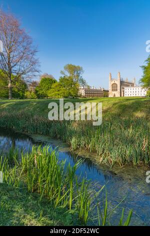 Royaume-uni, Angleterre, Cambridge, Cambridgeshire, le dos, King's College Chapel Banque D'Images