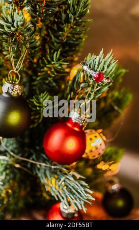 Anneau argenté avec rubis rouge sur une branche d'arbre de Noël décoré. Banque D'Images