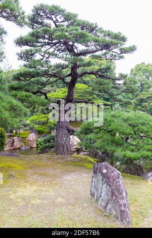 À l'intérieur du Palais impérial de Kyoto, au Japon Banque D'Images