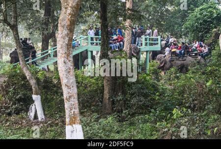 Kaziranga, Assam, Inde le 14 novembre 2014 - touristes appréciant le safari d'éléphant dans les forêts verdoyantes du parc national de Kaziranga, Assam, Nord-est, Ind Banque D'Images