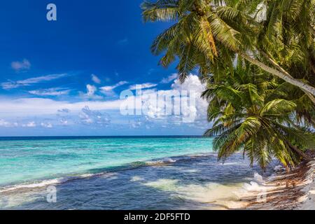 Fond tropical de plage comme paysage d'été avec balançoire de plage ou hamac et sable blanc et mer calme pour la bannière de plage. Des vacances parfaites sur la plage Banque D'Images