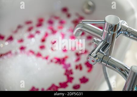 Pétales de rose mis dans la baignoire pour une salle de bains romantique en costume de lune de miel. Organisé par un architecte d'intérieur pour un couple lune de miel. Parfum de rose pour se détendre. Spa Banque D'Images