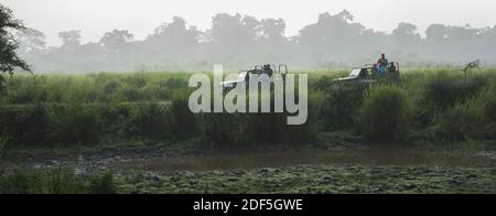 Kaziranga, Assam, Inde le 13 novembre 2014 - vue aérienne des touristes se rendant en Jeep pour un gros rhinocéros à cornes dans les forêts de Kaziranga National Pa Banque D'Images