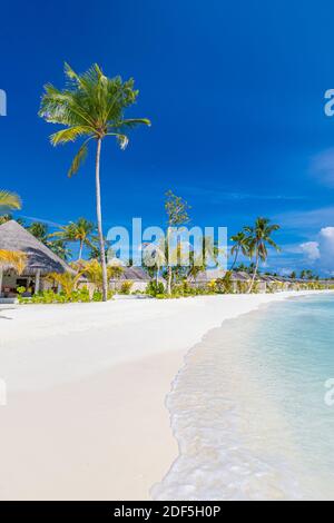 Bannière panoramique verticale de plage tropicale. Paysage d'été incroyable, palmier au sable blanc et lagon de mer calme. Plage tropicale paradisiaque vacances Banque D'Images