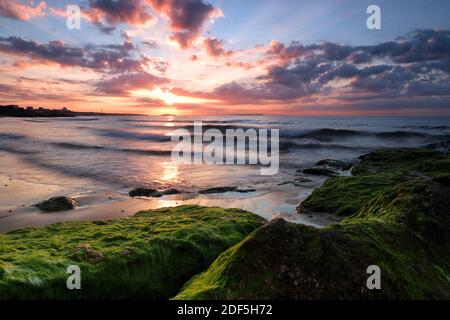 De grandes roches recouvertes de mousse verte vive remplissent le premier plan tandis que le soleil se lève dans un ciel rempli de nuages tandis que les vagues se brisent sur la rive. Banque D'Images