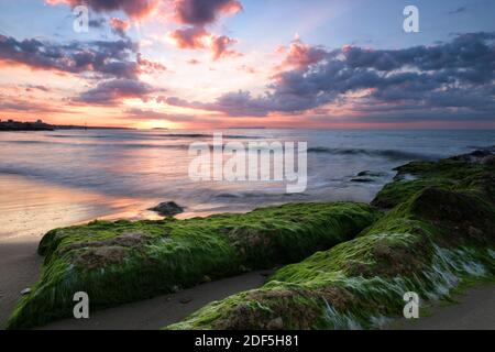 De grandes roches recouvertes de mousse verte vive remplissent le premier plan tandis que le soleil se lève dans un ciel rempli de nuages tandis que les vagues se brisent sur la rive. Banque D'Images