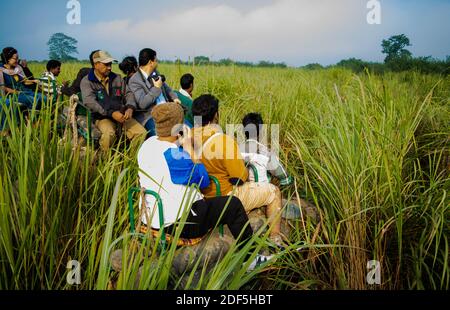 Kaziranga, Assam, Inde le 14 novembre 2014 - touristes appréciant le safari d'éléphant dans les forêts verdoyantes du parc national de Kaziranga, Assam, Nord-est, Ind Banque D'Images