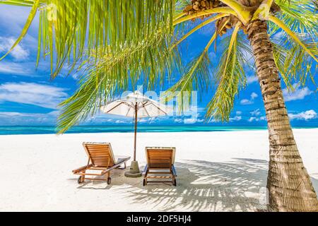 Plage tropicale paradisiaque avec sable blanc et coco palmiers Voyage tourisme large panorama fond. Vacances de luxe et de vacances bannière tropical plage repos Banque D'Images