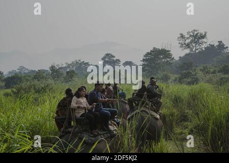 Kaziranga, Assam, Inde le 14 novembre 2014 - touristes appréciant le safari d'éléphant dans les forêts verdoyantes du parc national de Kaziranga, Assam, Nord-est, Ind Banque D'Images