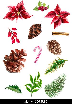 Aquarelle Merry Christmas Floral Set avec sapin et fleur de noël. Poinsettia, branches d'épinette, cônes et baies Banque D'Images
