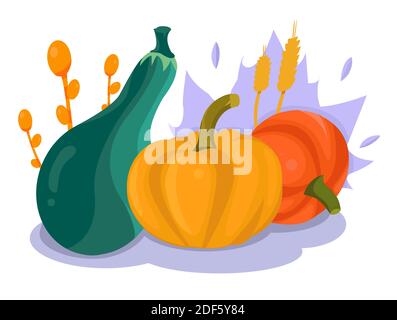 Composition de citrouilles diverses sur fond blanc. Illustration vectorielle de citrouilles jaune, orange et verte. Saison de récolte. Ensemble de citrouilles Banque D'Images