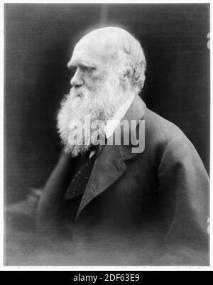 Charles Darwin (1809-1882), naturaliste, géologue et biologiste anglais, photographie de portrait de Julia Margaret Cameron, vers 1870 Banque D'Images