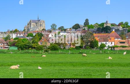 Vue sur les champs avec les moutons à la recherche vers le marché de la ville historique d'Arundel dans le West Sussex, Angleterre, Royaume-Uni. Banque D'Images
