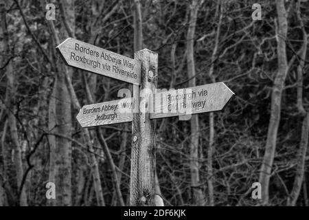 Bordures Abbeys chemin longue distance chemin de pied montant Monochrome Banque D'Images