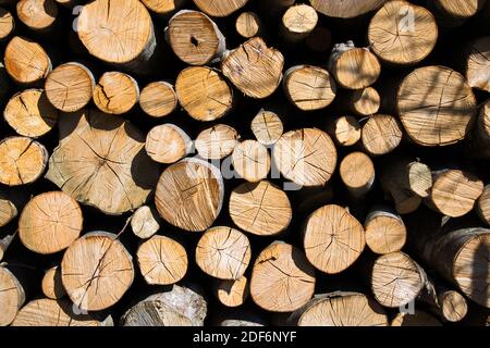 pile ou pile de bois de cheminée pour l'hiver. texture en bois. ménage. Banque D'Images