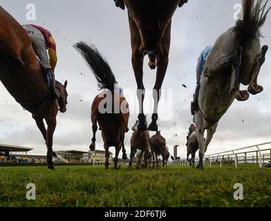 Une vue générale tandis que les coureurs se remporteront une clôture à l'hippodrome de Wincanton. Banque D'Images