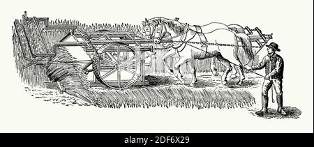 Une ancienne gravure de la machine de remappage de Bell de 1826. Il est tiré d'un livre victorien des années 1880. L'inventeur écossais Patrick Bell (1799–1869) a inventé la machine de récolte pour accélérer la récolte. En 1828, sa machine a été utilisée avec succès sur la ferme de son père et d'autres dans le district. Cette machine de remappage a utilisé un rabatteur rotatif pour tirer la récolte au-dessus du couteau de coupe. Un convoyeur à toile a déplacé le grain et les tiges sur le côté d'un andain groupé. Cette machine a été poussée par le bétail et a fonctionné sur deux roues. Bell n'a jamais breveté pour sa couche et n'a jamais fait de gain financier de son succès. Banque D'Images