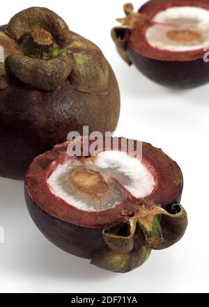 Le mangoustan, Garcinia mangostana, Fruits Exotiques contre fond blanc Banque D'Images