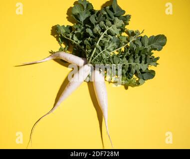 Trois racines de radis daikon sur fond jaune. Orientation horizontale Banque D'Images