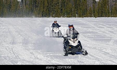 Les motoneigistes traversent un terrain enneigé dans les montagnes Cascade de l'Oregon, près de Bend, Oregon. Banque D'Images