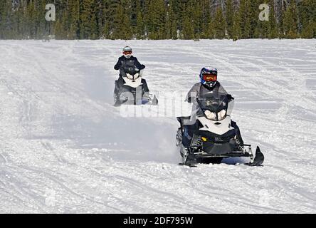 Les motoneigistes traversent un terrain enneigé dans les montagnes Cascade de l'Oregon, près de Bend, Oregon. Banque D'Images