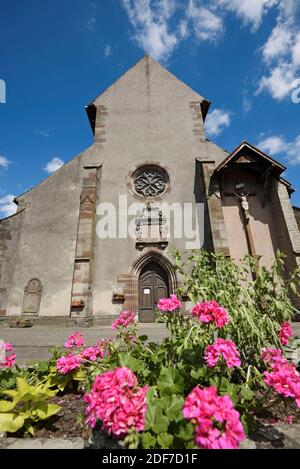 France, Moselle, Fenetrange, place Marcel Dassault, église Saint Remy du XVe siècle Banque D'Images