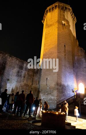 France, Dordogne, Périgord Vert, Bourdeilles, Château de Bourdeilles Banque D'Images